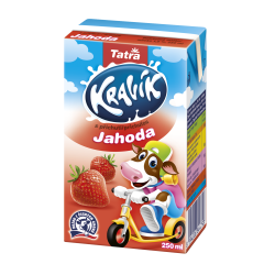 Obrázek